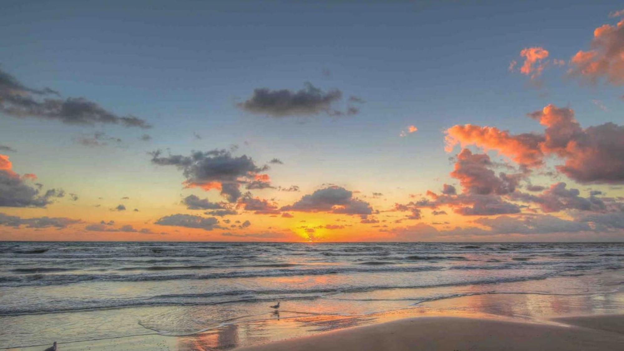 Apartamento Sleeps 4, Value Retreat - Free Garage Pet Friendly Corpus Christi Exterior foto
